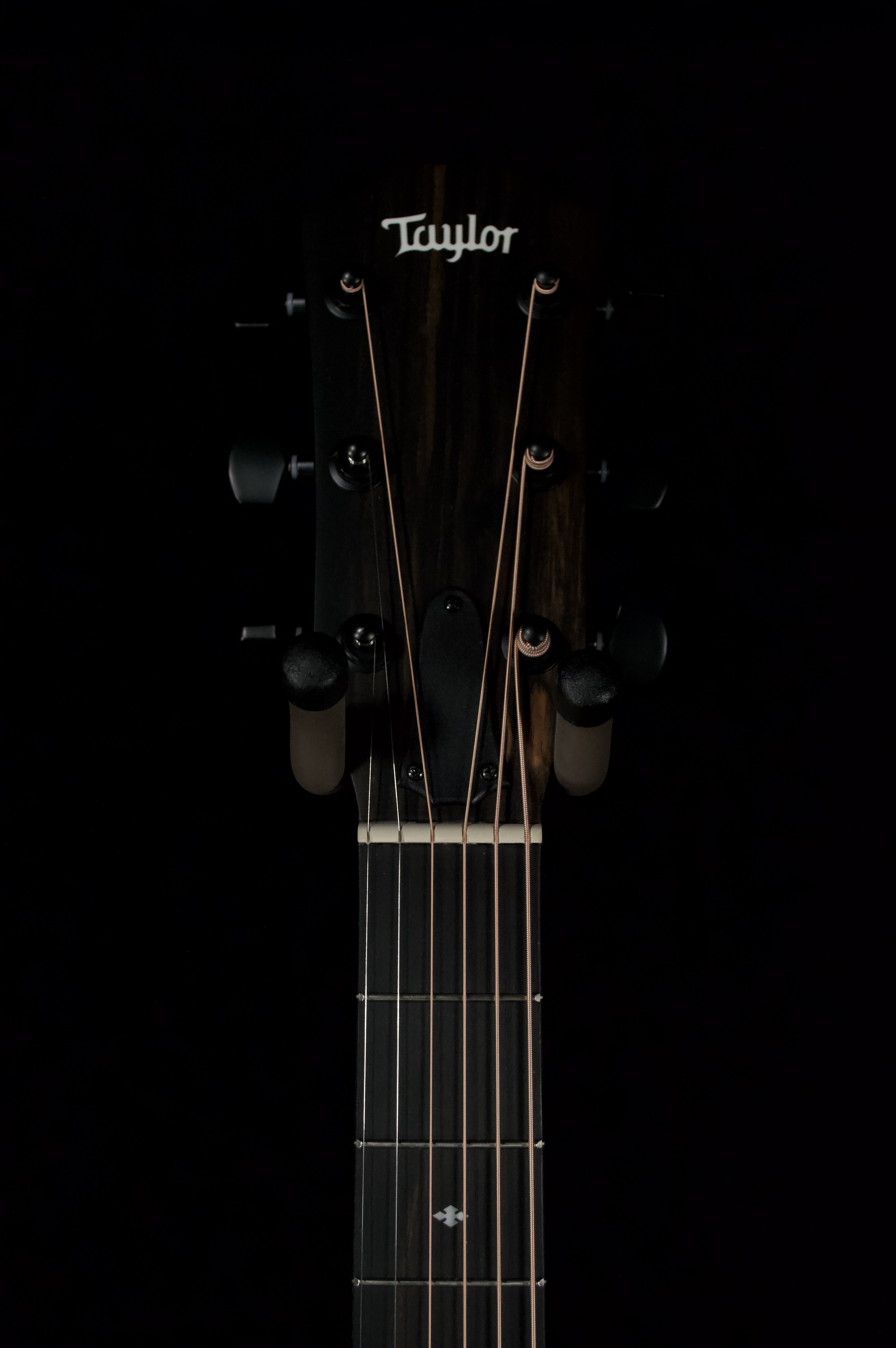 【hrhtmn】Taylor 214ce 【2018年製】純正バッグ付属 214ce-BLK PlusBig Leaf Mapleアコースティック エレクトリック